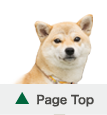 ▲PageTop